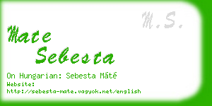 mate sebesta business card