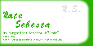 mate sebesta business card